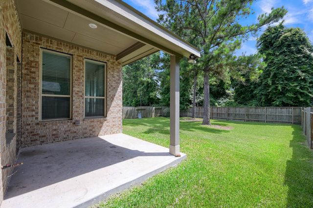 122 S Bearkat Court, Montgomery, TX 77316