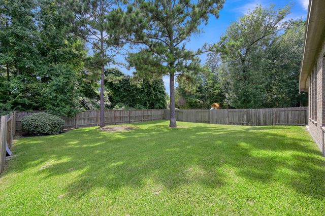 122 S Bearkat Court, Montgomery, TX 77316