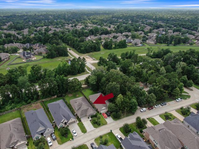122 S Bearkat Court, Montgomery, TX 77316