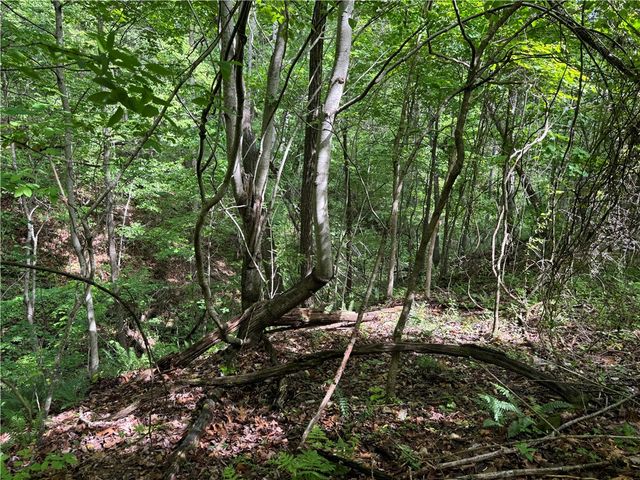 TBD Lots 2,3,4 Diana Lane, Bella Vista, AR 72715