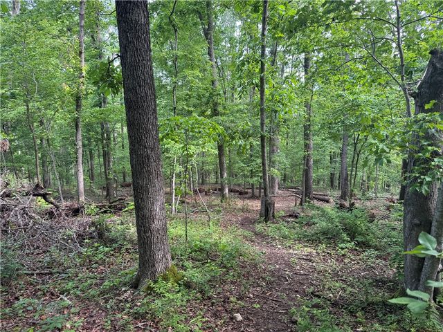 TBD Lots 2,3,4 Diana Lane, Bella Vista, AR 72715