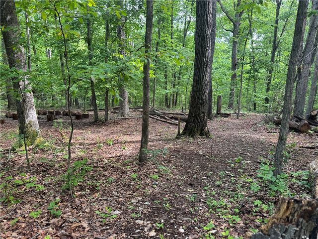 TBD Lots 2,3,4 Diana Lane, Bella Vista, AR 72715
