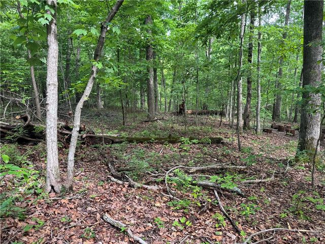 TBD Lots 2,3,4 Diana Lane, Bella Vista, AR 72715