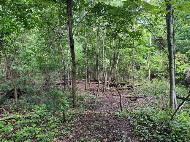 TBD Lots 2,3,4 Diana Lane, Bella Vista, AR 72715