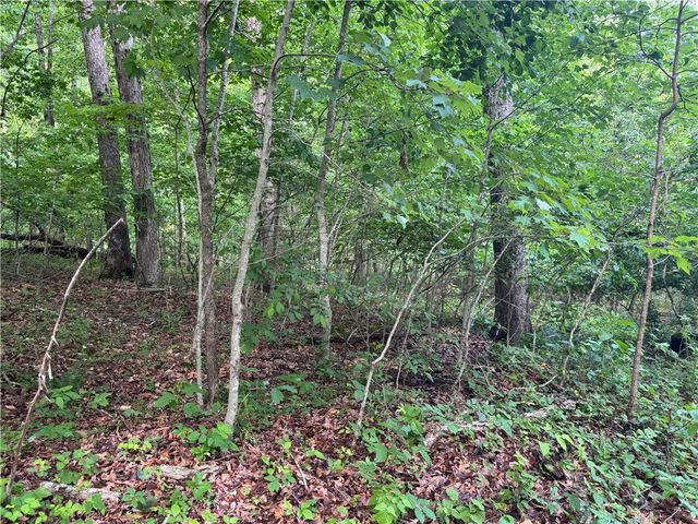 TBD Lots 2,3,4 Diana Lane, Bella Vista, AR 72715