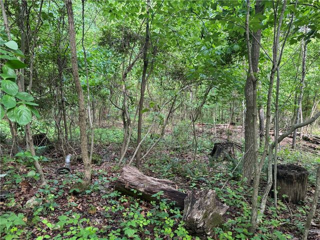 TBD Lots 2,3,4 Diana Lane, Bella Vista, AR 72715