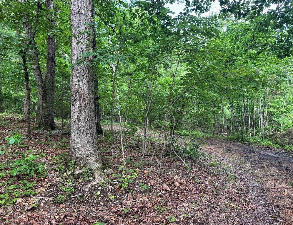 TBD Lots 2,3,4 Diana Lane, Bella Vista, AR 72715