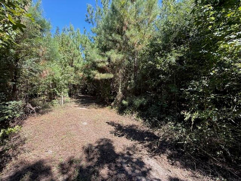 State Rte 1146, Deridder, LA 70634