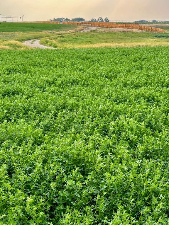 NHN 12th Lane, Fort Shaw, MT 59443 photo 3