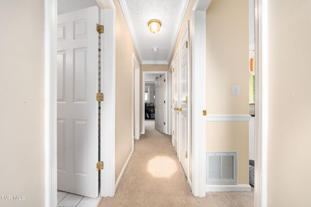 245 Highland Hills Drive, Gray, TN 37615