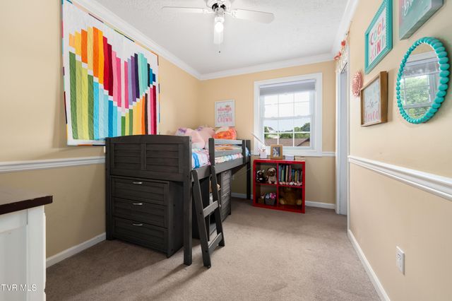 245 Highland Hills Drive, Gray, TN 37615