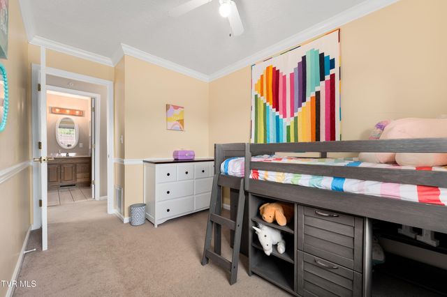 245 Highland Hills Drive, Gray, TN 37615