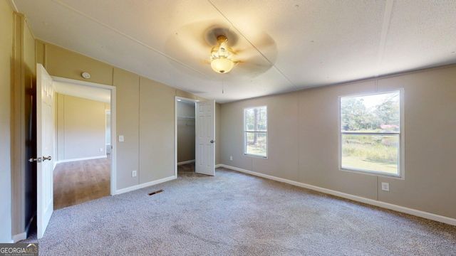 250 Bobby Sapp Road, Collins, GA 30421