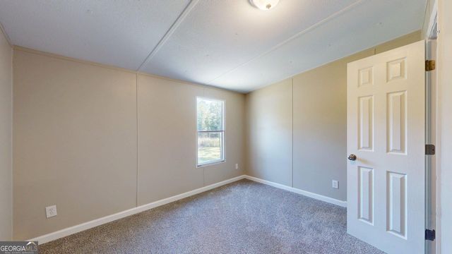 250 Bobby Sapp Road, Collins, GA 30421