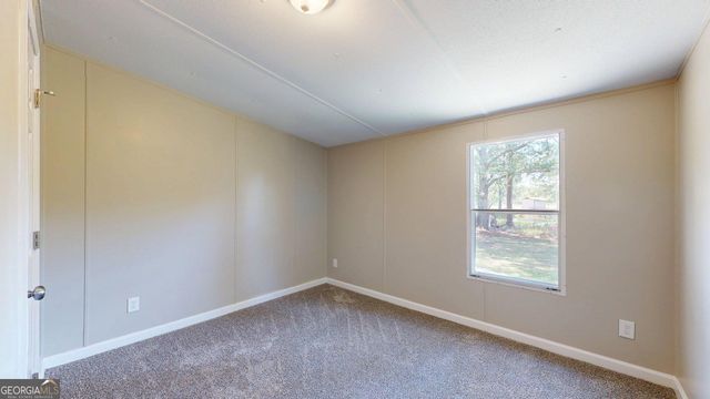 250 Bobby Sapp Road, Collins, GA 30421