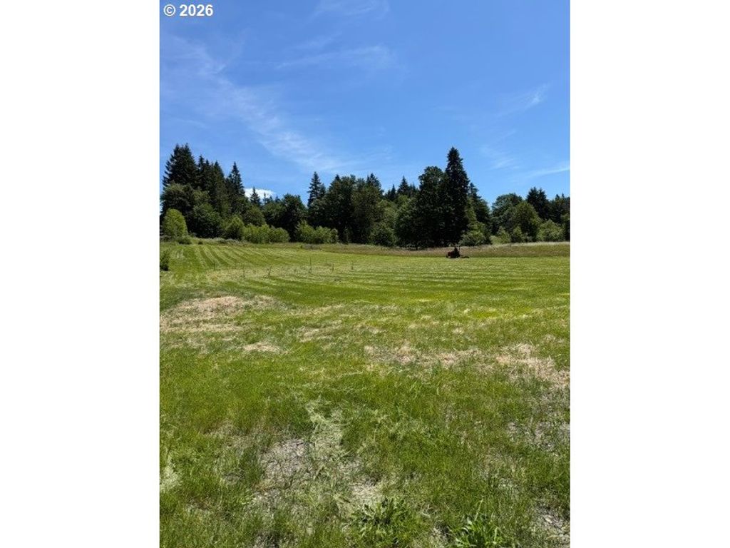 3 Ne 144th St, Brush Prairie, WA 98606