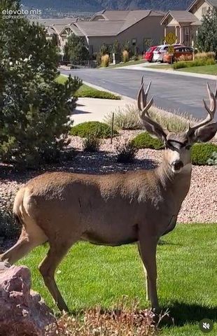 1455 Symphony Heights, Monument, CO 80132
