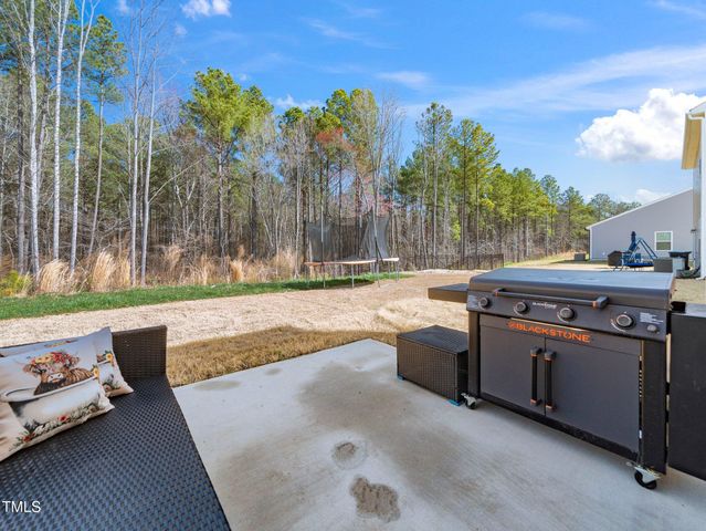 325 Azalea Gaze Drive, Youngsville, NC 27596