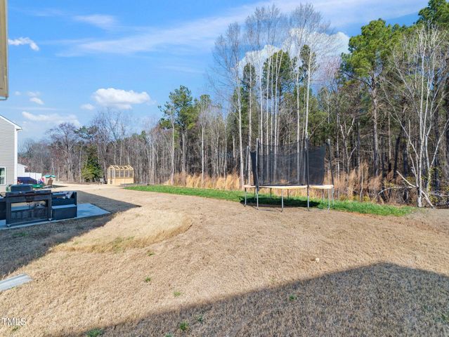 325 Azalea Gaze Drive, Youngsville, NC 27596