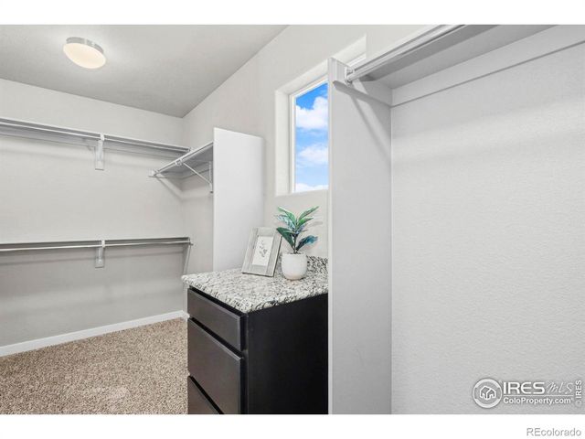 5540 Chantry Drive, Windsor, CO 80550