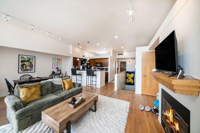 217 E Washington Street, Ann Arbor, MI 48104