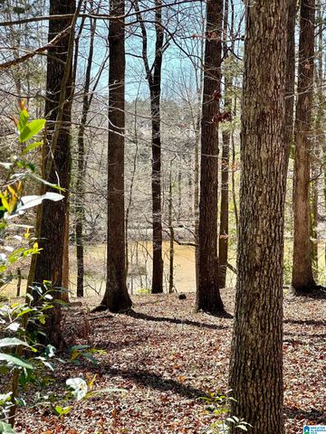 64 CHEROKEE HILLS, Tuscaloosa, AL 35404