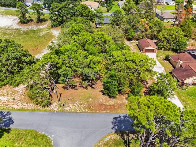 1228 STATEN AVENUE, Spring Hill, FL 34609