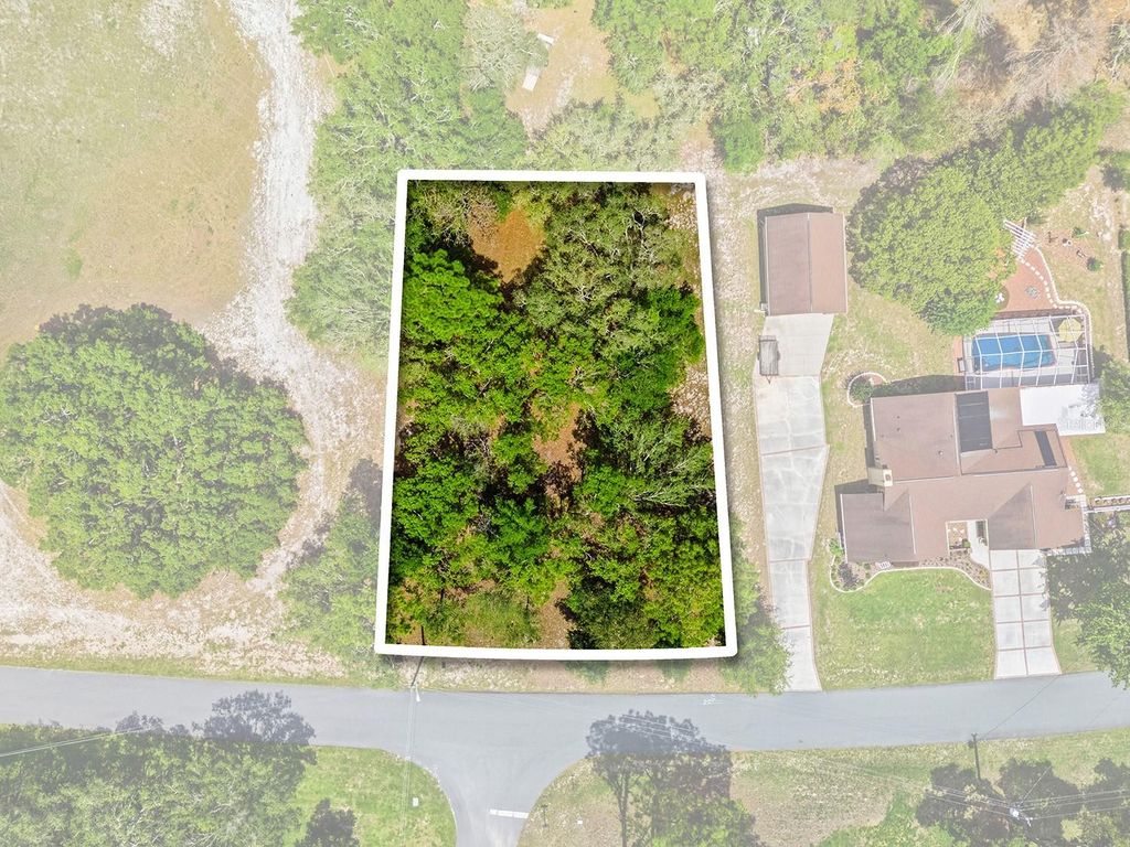 1228 STATEN AVENUE, Spring Hill, FL 34609
