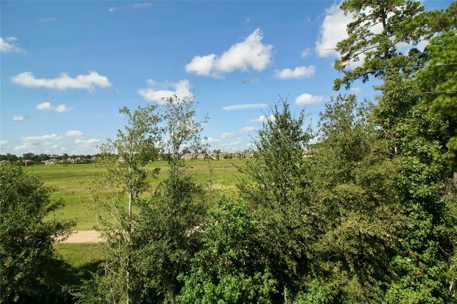 64 Ashe Juniper Way, Magnolia, TX 77354