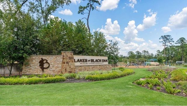 64 Ashe Juniper Way, Magnolia, TX 77354