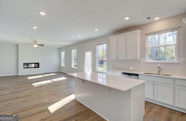 668 Leafy Branch Way, Mcdonough, GA 30253