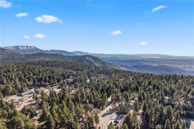 2113 Spring Oak, Running Springs, CA 92382