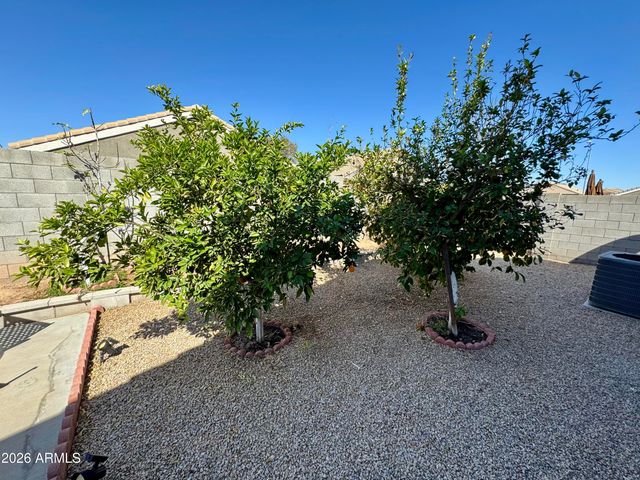 12008 W ACAPULCO Drive, El Mirage, AZ 85335