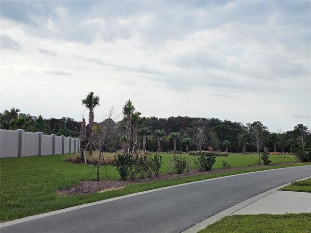 12295 BRACCO STREET, Winter Garden, FL 34787