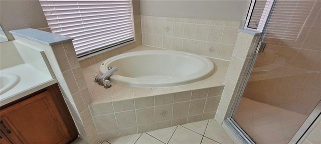 18009 MAUI ISLE DRIVE, Tampa, FL 33647