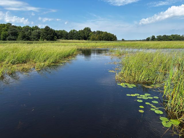 32406 Starland Shore Drive, Dent, MN 56528