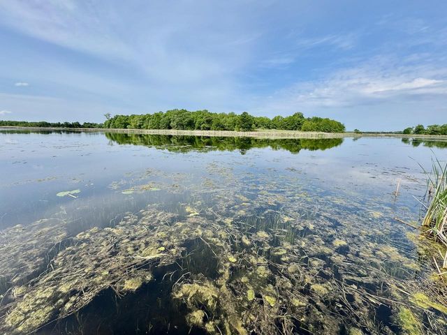 32406 Starland Shore Drive, Dent, MN 56528