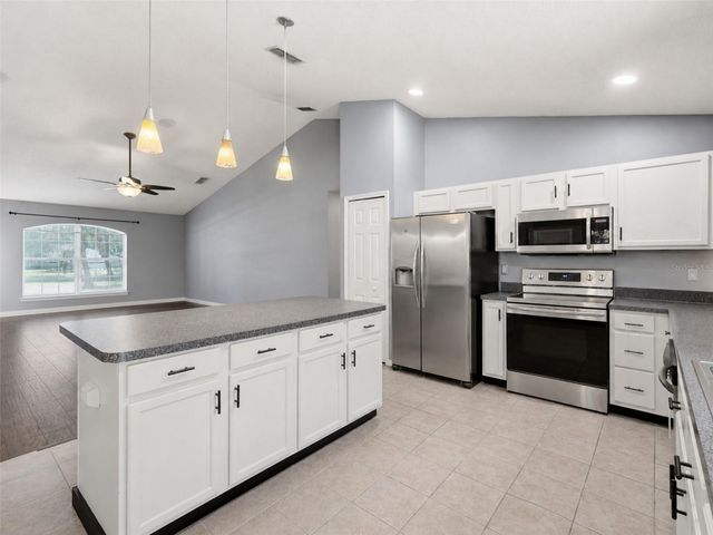 1313 OAK VALLEY BOULEVARD, Minneola, FL 34715