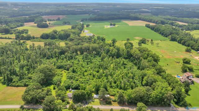 6.5 Roy Davis Road, New Market, AL 35761