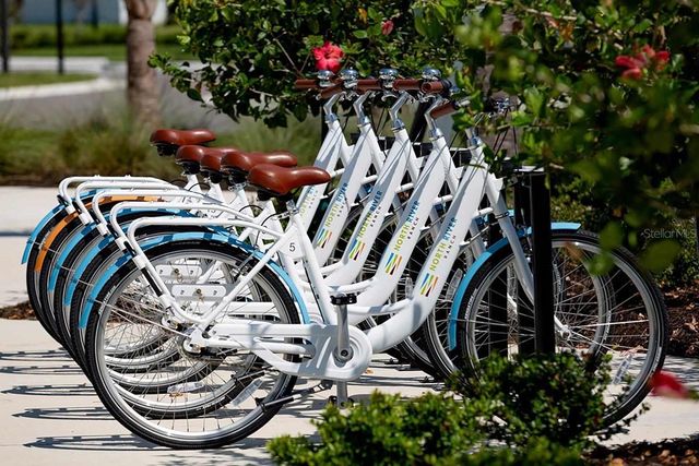 11722 FULL MOON LOOP, Parrish, FL 34219