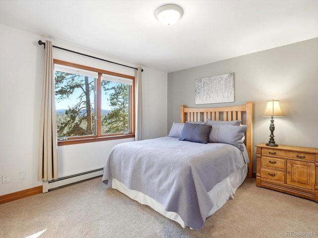 9808 Fallen Rock Rd, Conifer, CO 80433