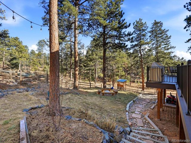 9808 Fallen Rock Rd, Conifer, CO 80433