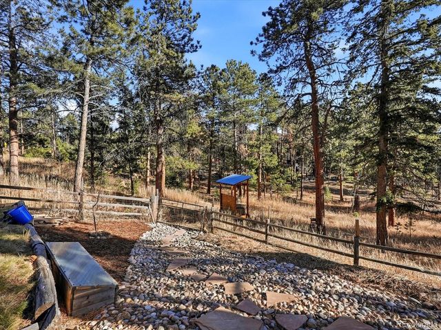 9808 Fallen Rock Rd, Conifer, CO 80433