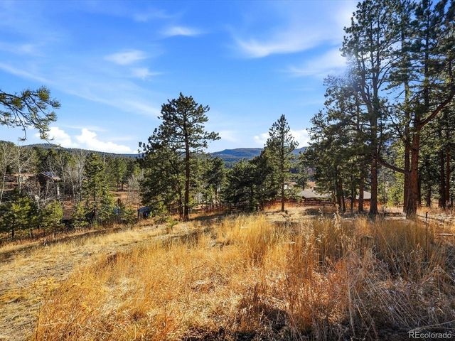 9808 Fallen Rock Rd, Conifer, CO 80433