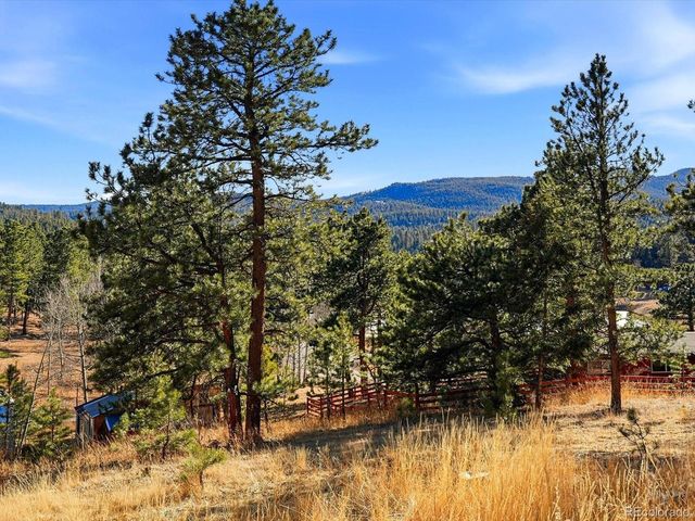 9808 Fallen Rock Rd, Conifer, CO 80433