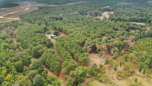 380 Arnold Dowden, Hornbeck, LA 71439