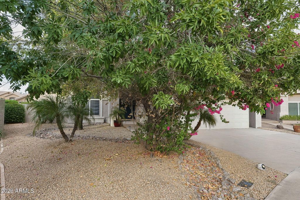 176 W CALLE MONTE Vista, Tempe, AZ 85284 — photo 2