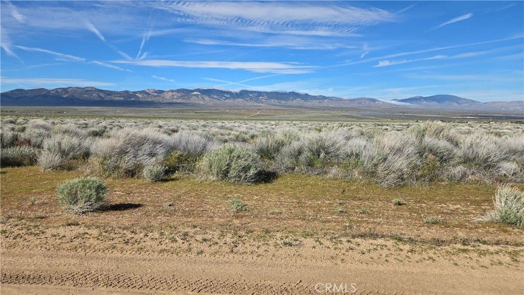 Image 11 of property listing at 0 Ave C vicinity 264th St W, Fairmont, CA 93536