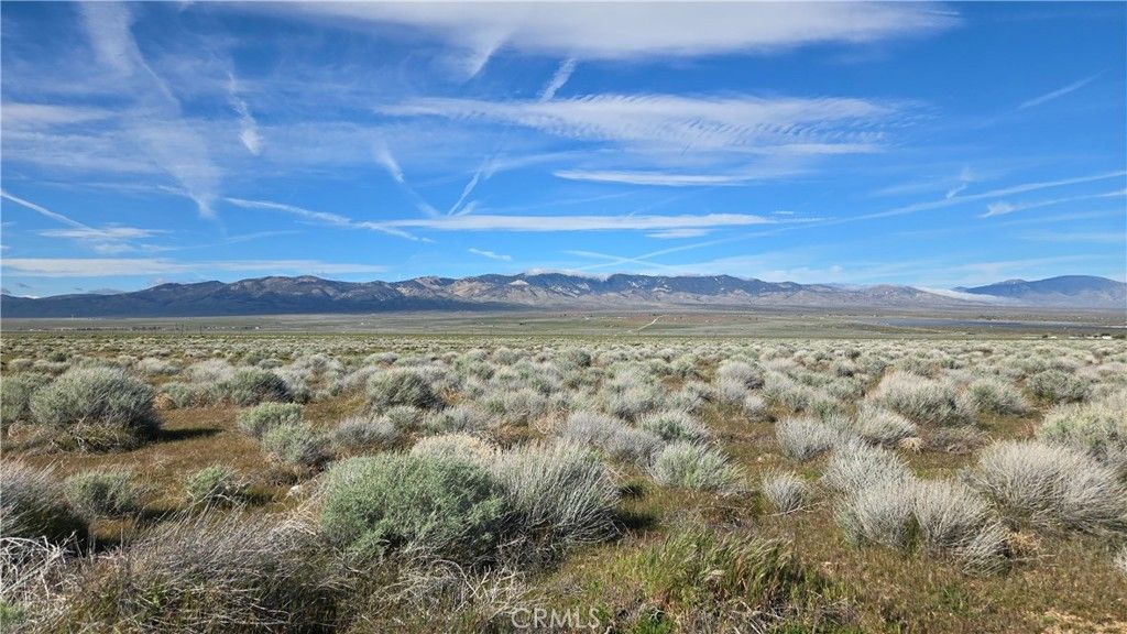 Image 15 of property listing at 0 Ave C vicinity 264th St W, Fairmont, CA 93536