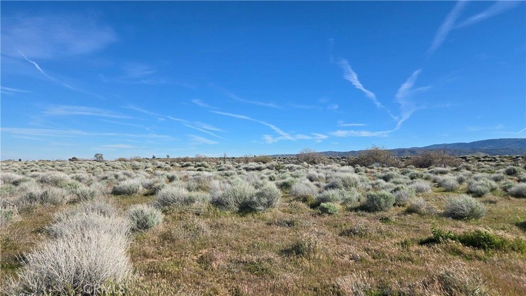 Image 20 of property listing at 0 Ave C vicinity 264th St W, Fairmont, CA 93536